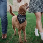 Pulse Productions Inc - Instagram Marquee - 9